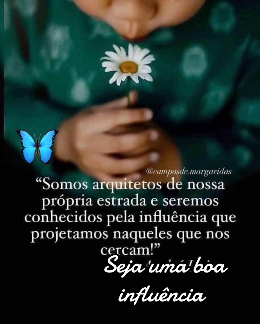 @borboleta2867