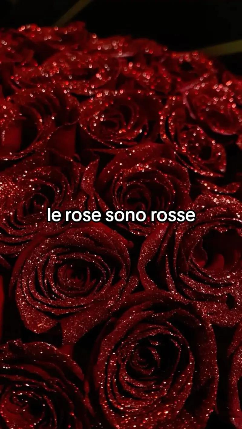 @✰♥︎🩷𝓬𝓲𝓪𝓶𝔂𝓮𝓶𝓪𝓶𝔂🩷ᥫ᭡✿