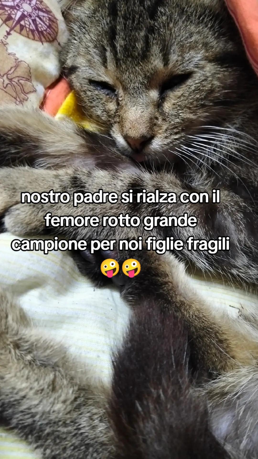 @Elisa Esposito