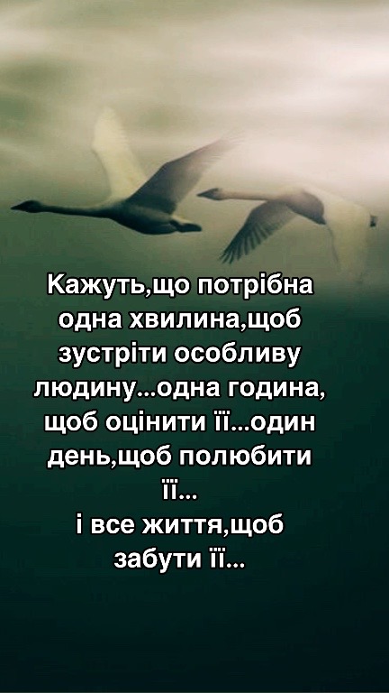 @pavlenok_k