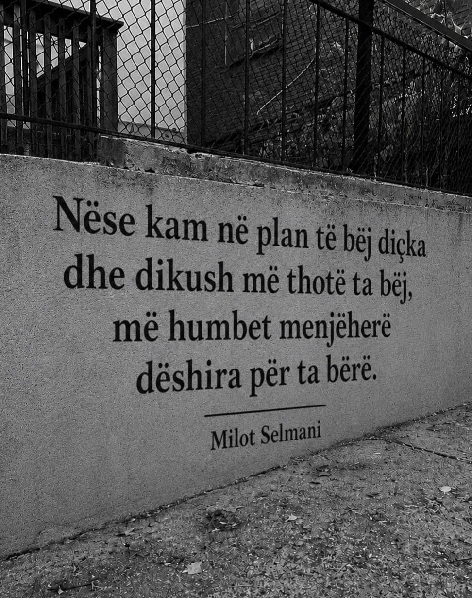 @milotselmani