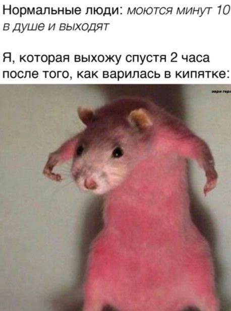 @Magmadiver_UwU