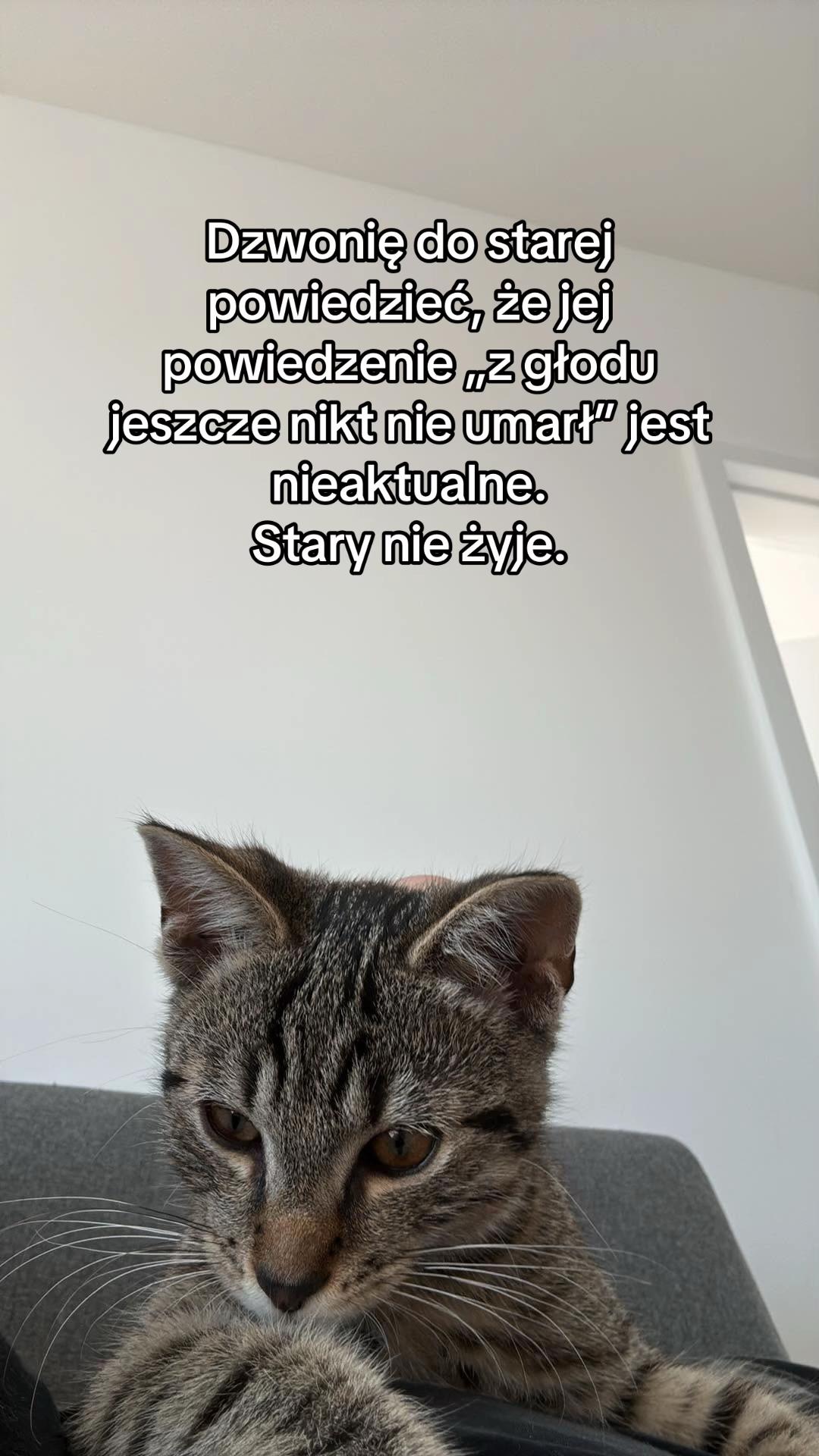 @pan_pyzek