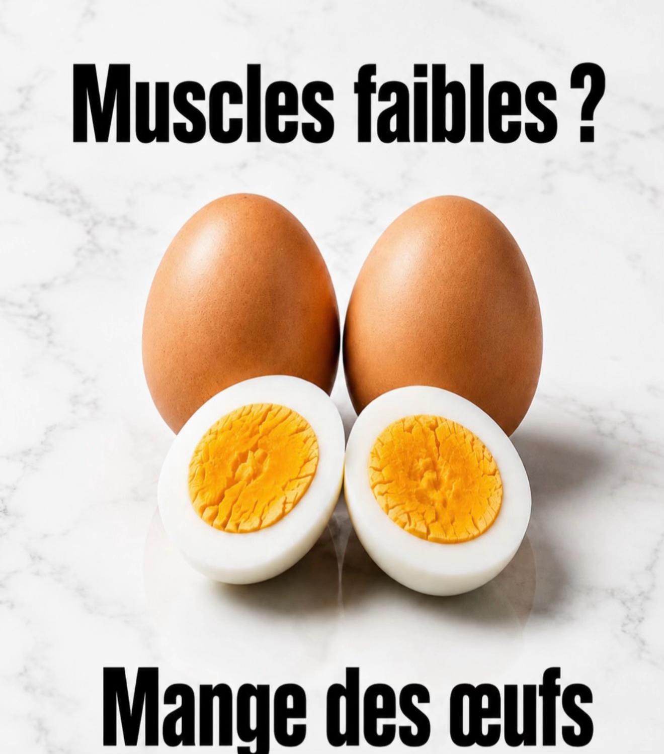 @Les RDV d&rsquo;Olga