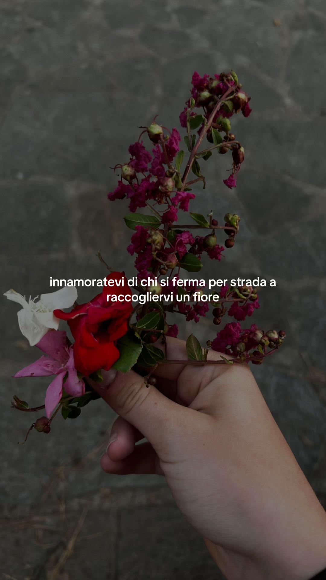 @greta🍃