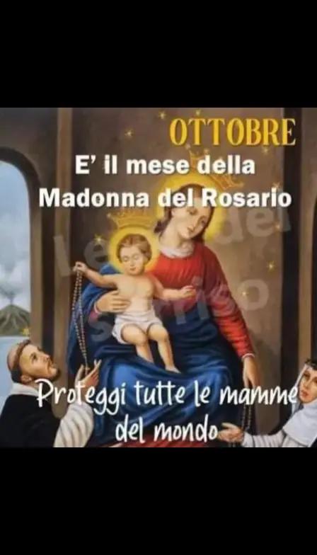 @Sonia Fusco