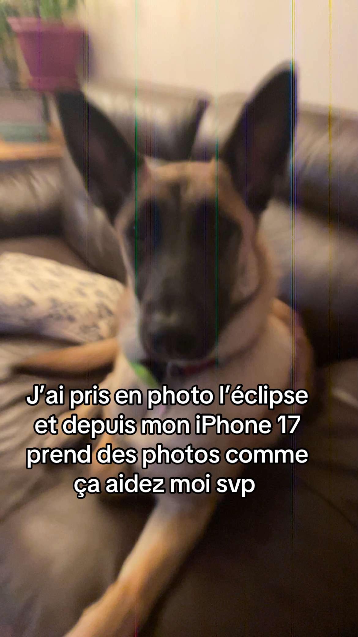 @Le T