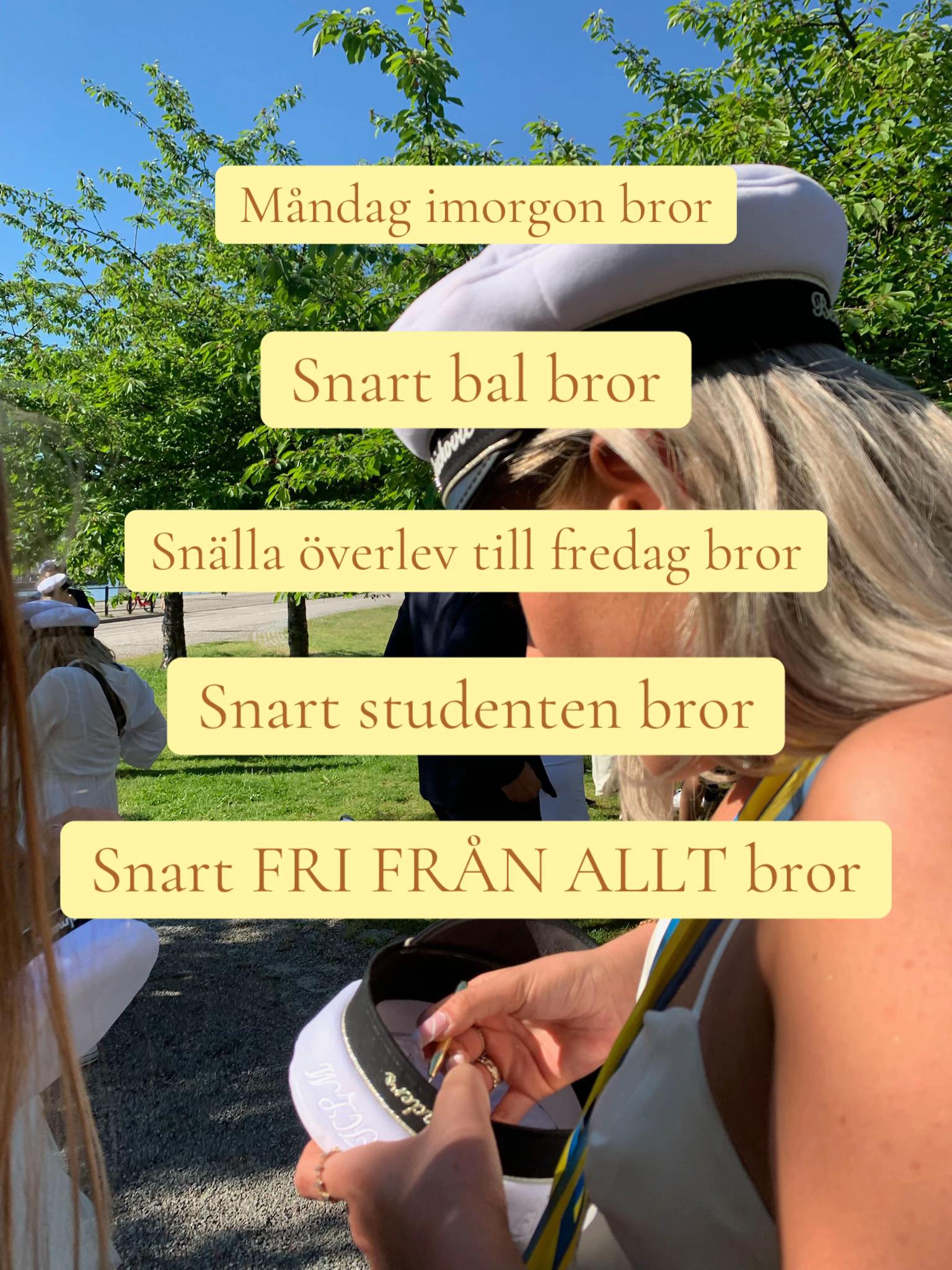 @C.L. Seifert Sverige 🎓