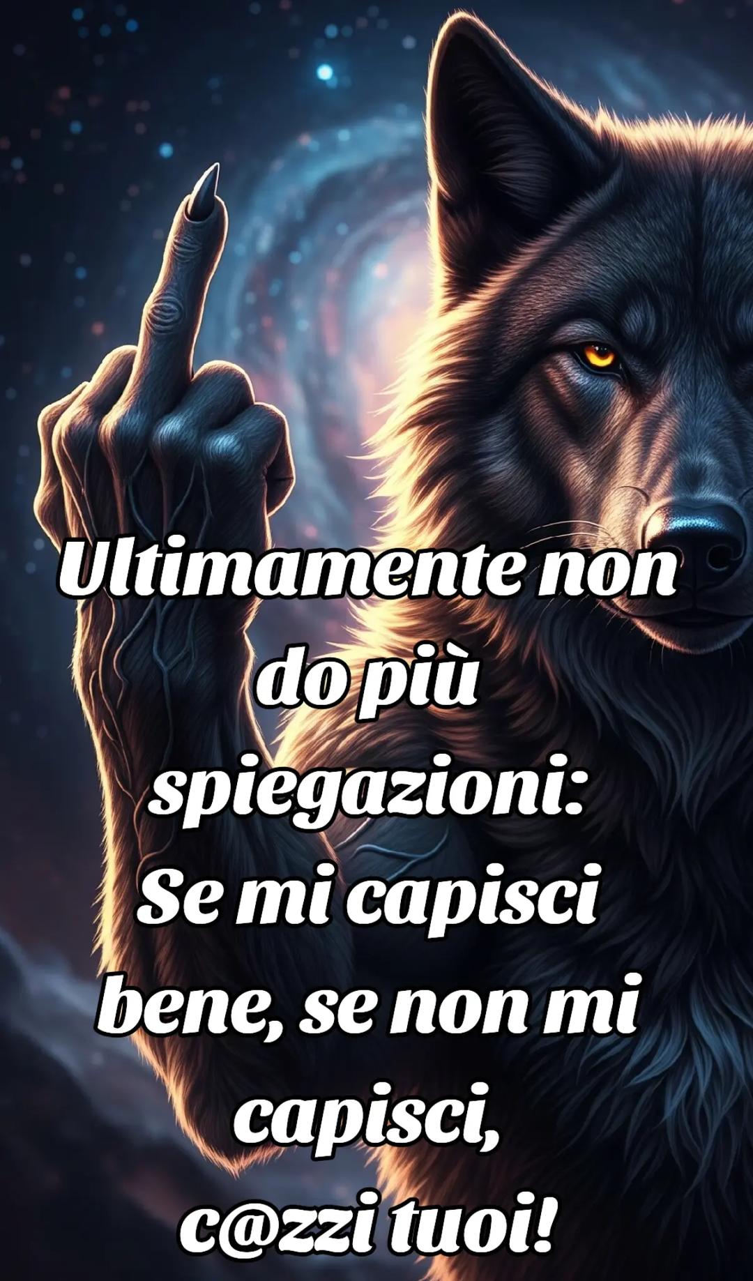 @🐺🗽Crazy Wolf.