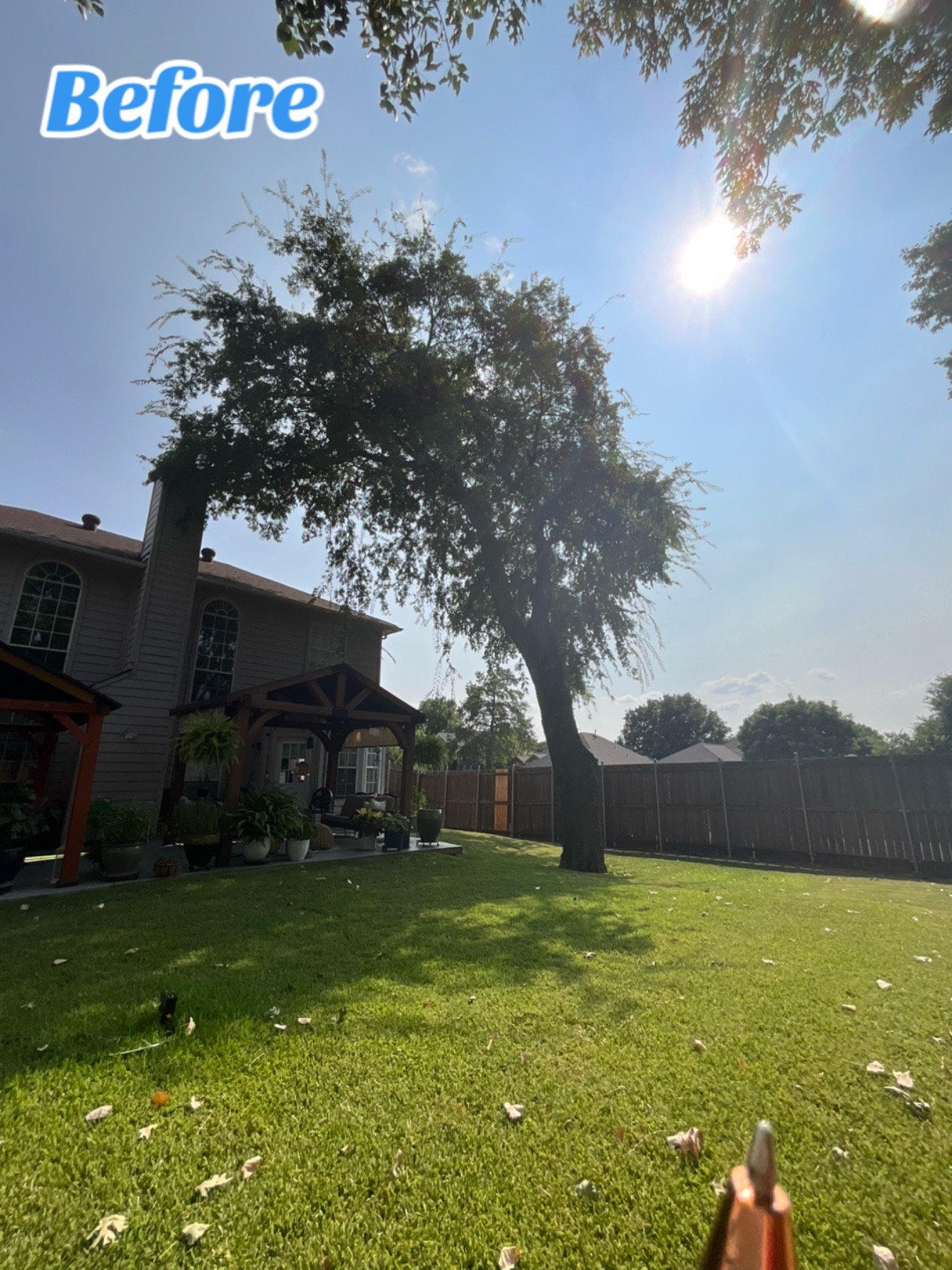 @Live Oak Tree Service