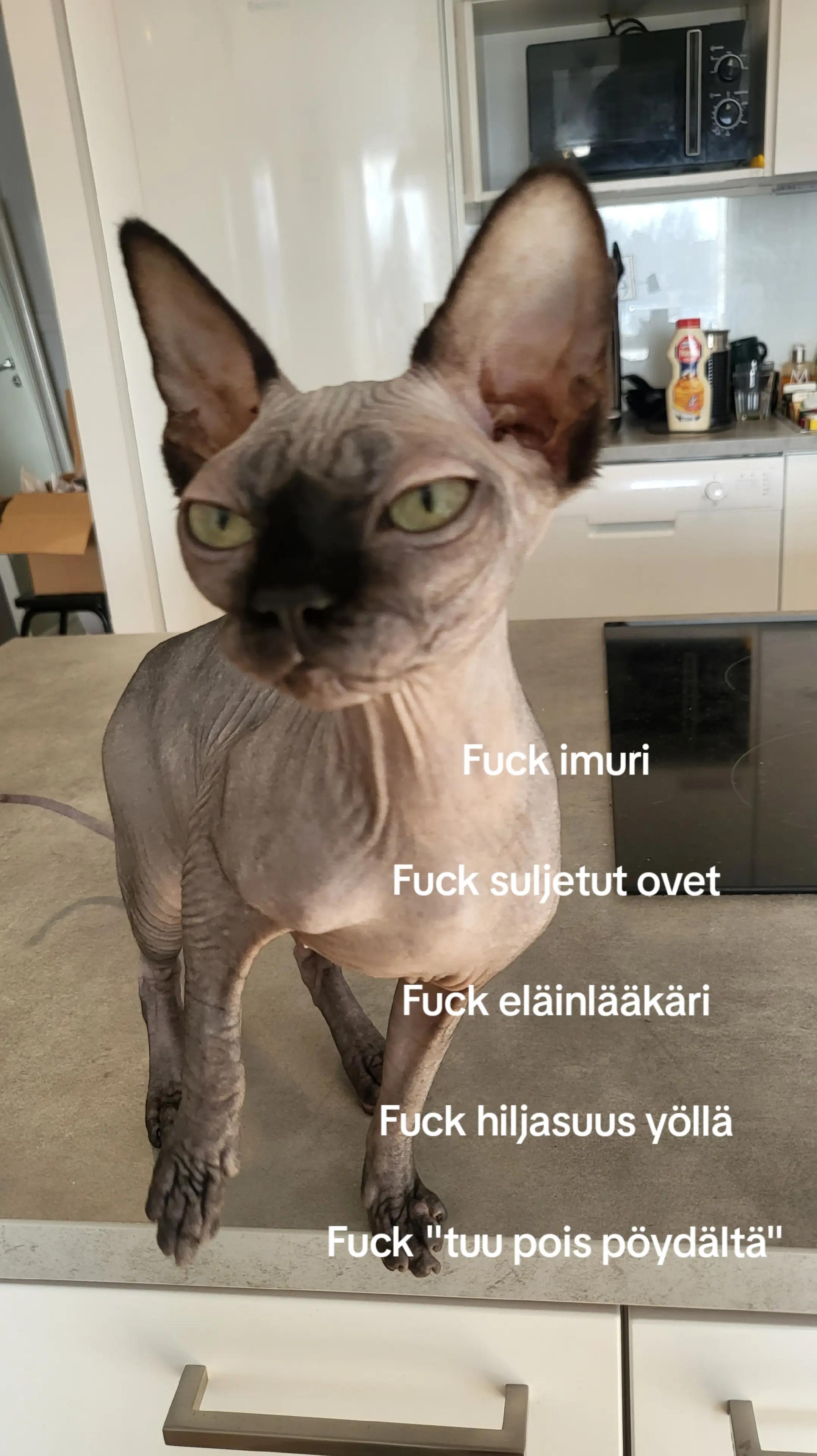 @ᛉhemli