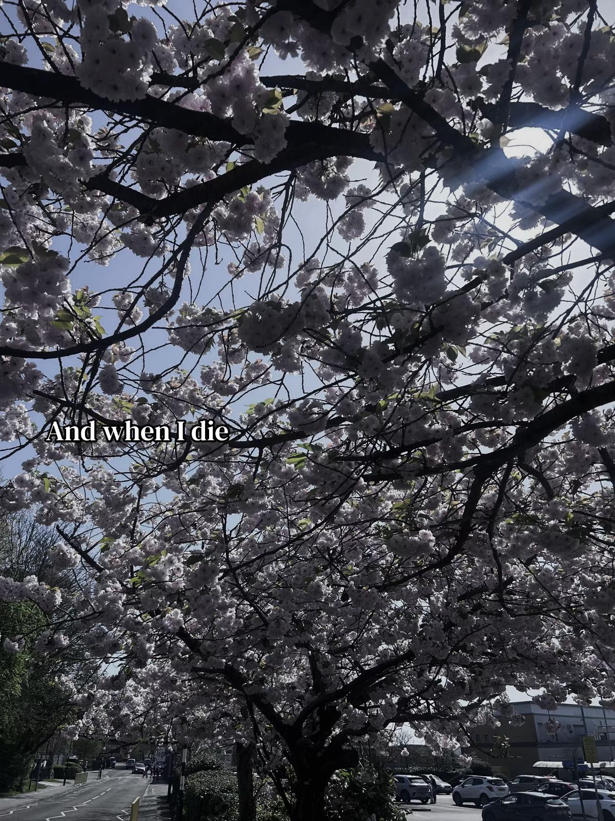 @𝕵𝖎𝖓𝖎𝖗𝖊𝖙𝖘⁸