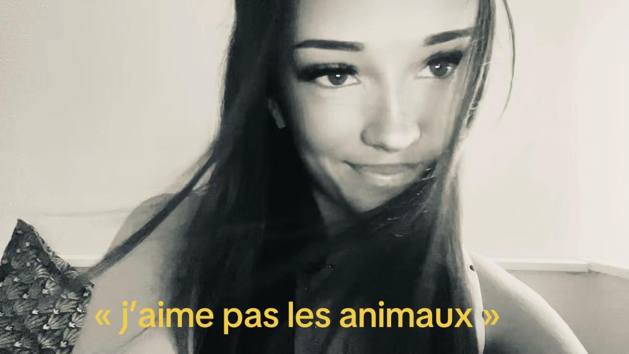 @ᗴᒪO_ᔕᑭᗩᗰ_💛🩷🩵
