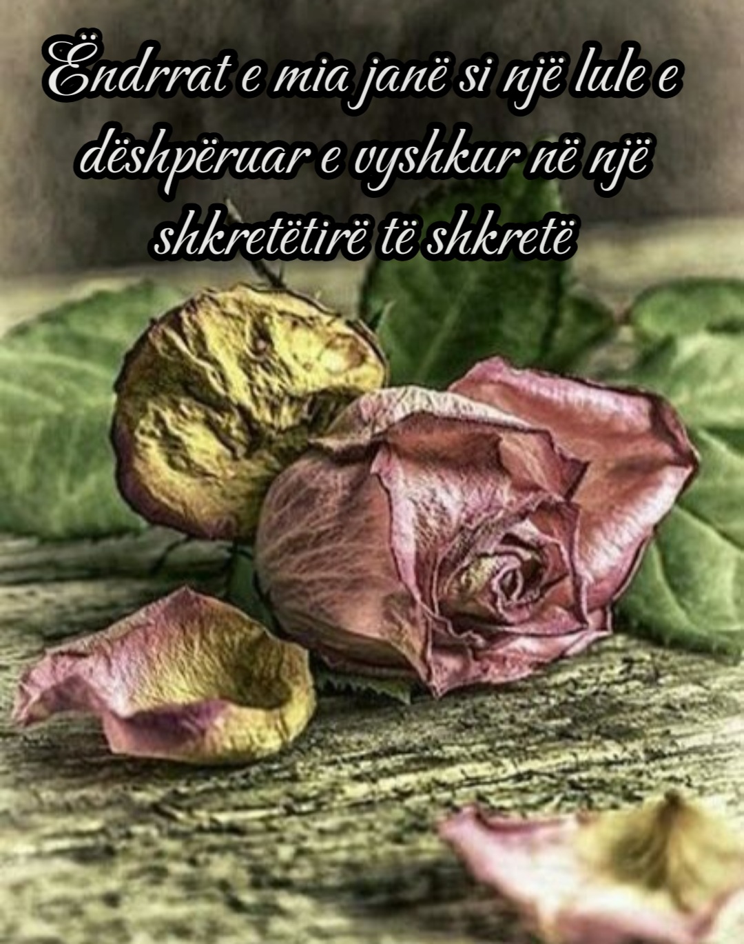 @tijatija