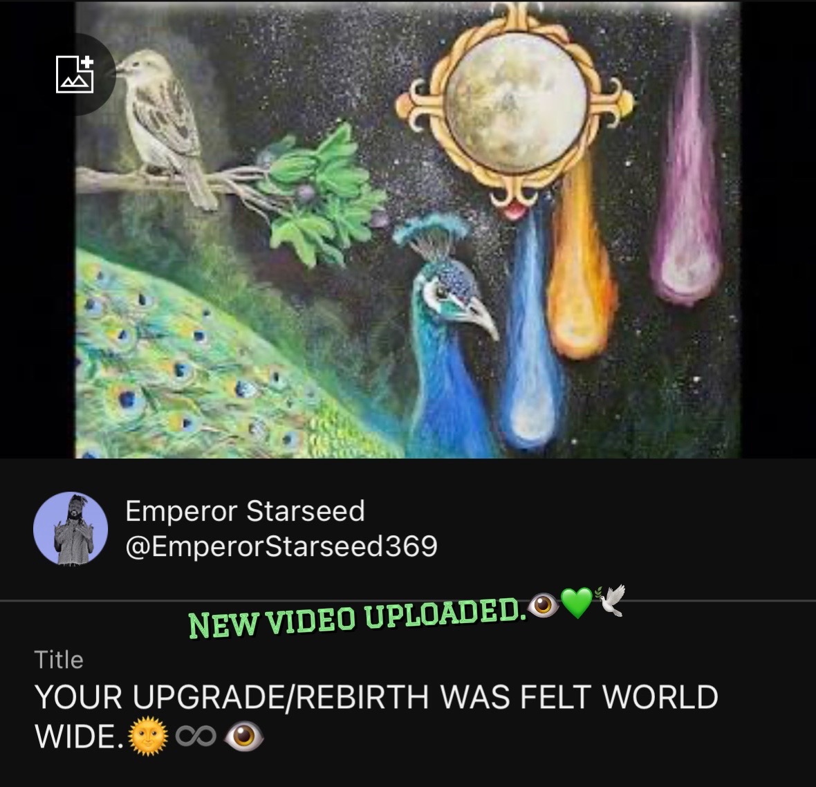 @Emperor Starseed✨