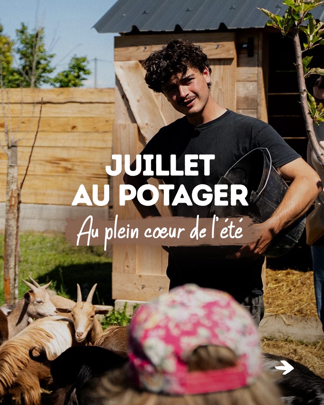 @Goran Le Permaculteur