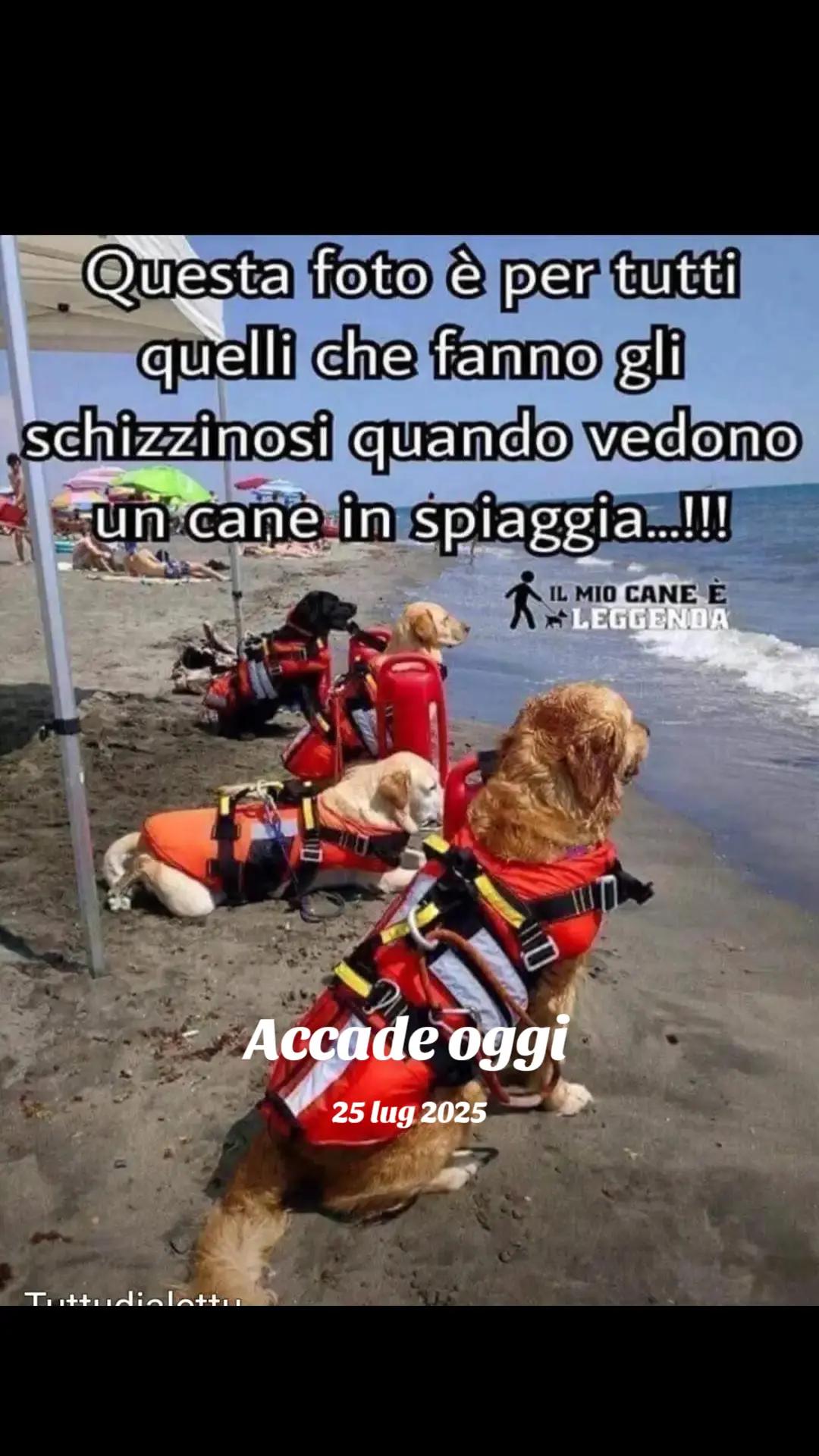 @Carmela Rinaldi