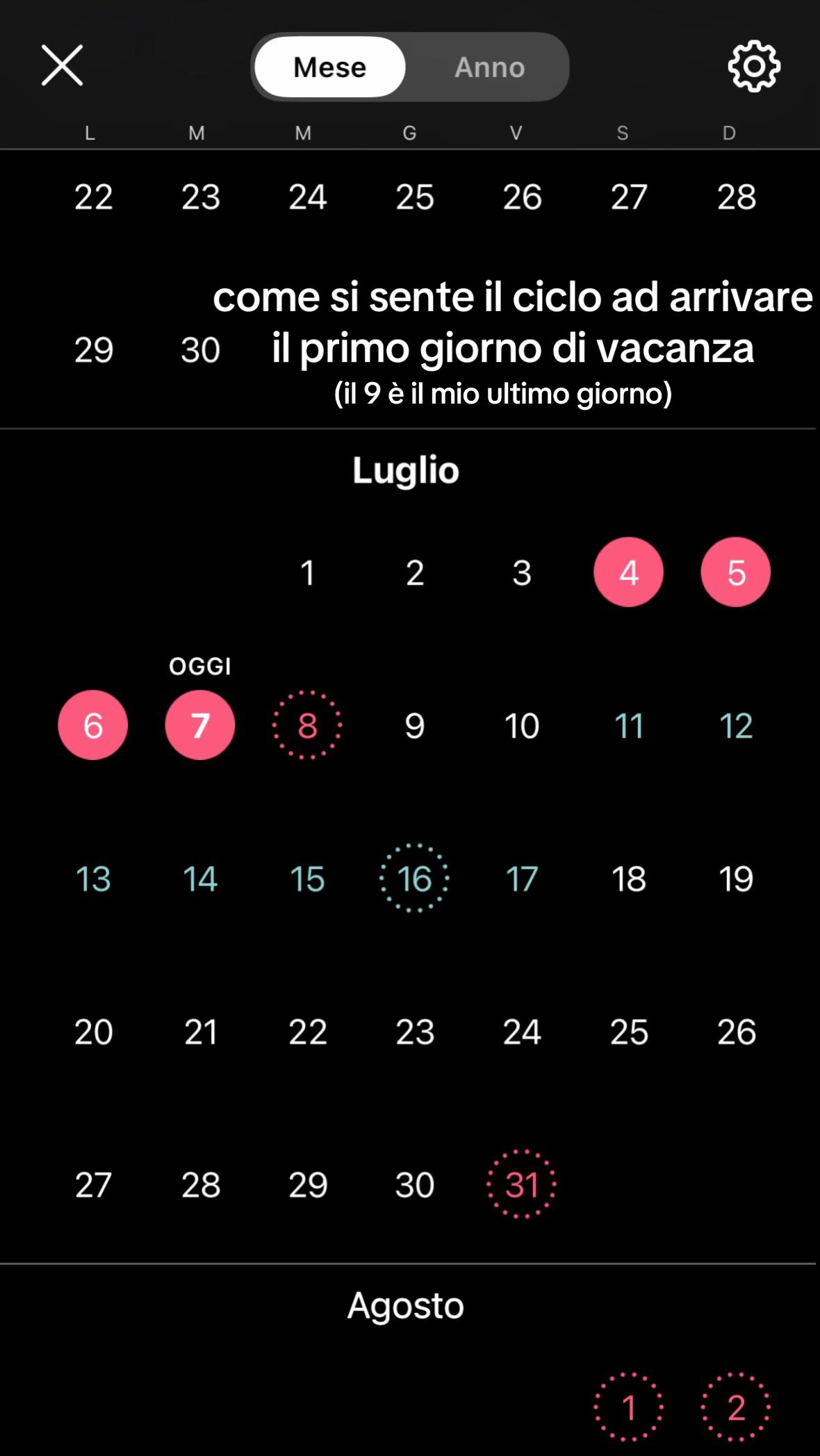 @spamm_camy