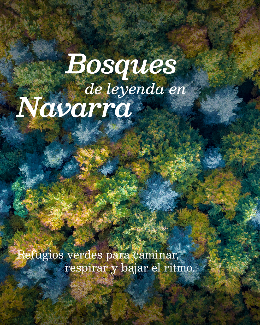 @Visit Navarra