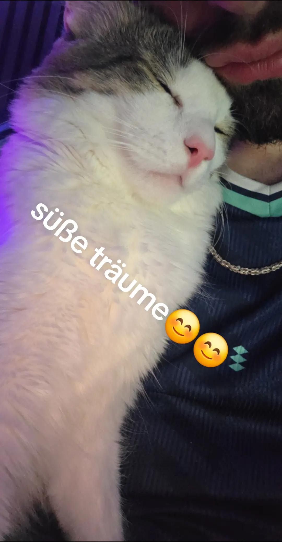 @❌️Tobiixx95 ❌️