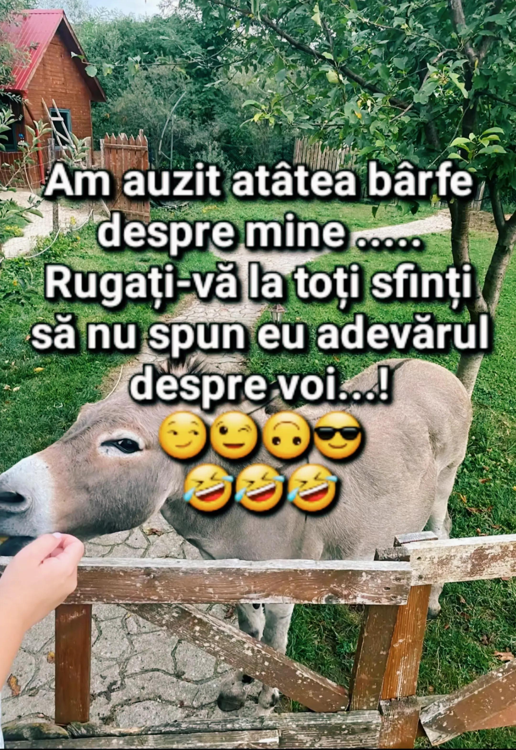 @♐ npƎ uɐı̣ɹpⱯ♐
