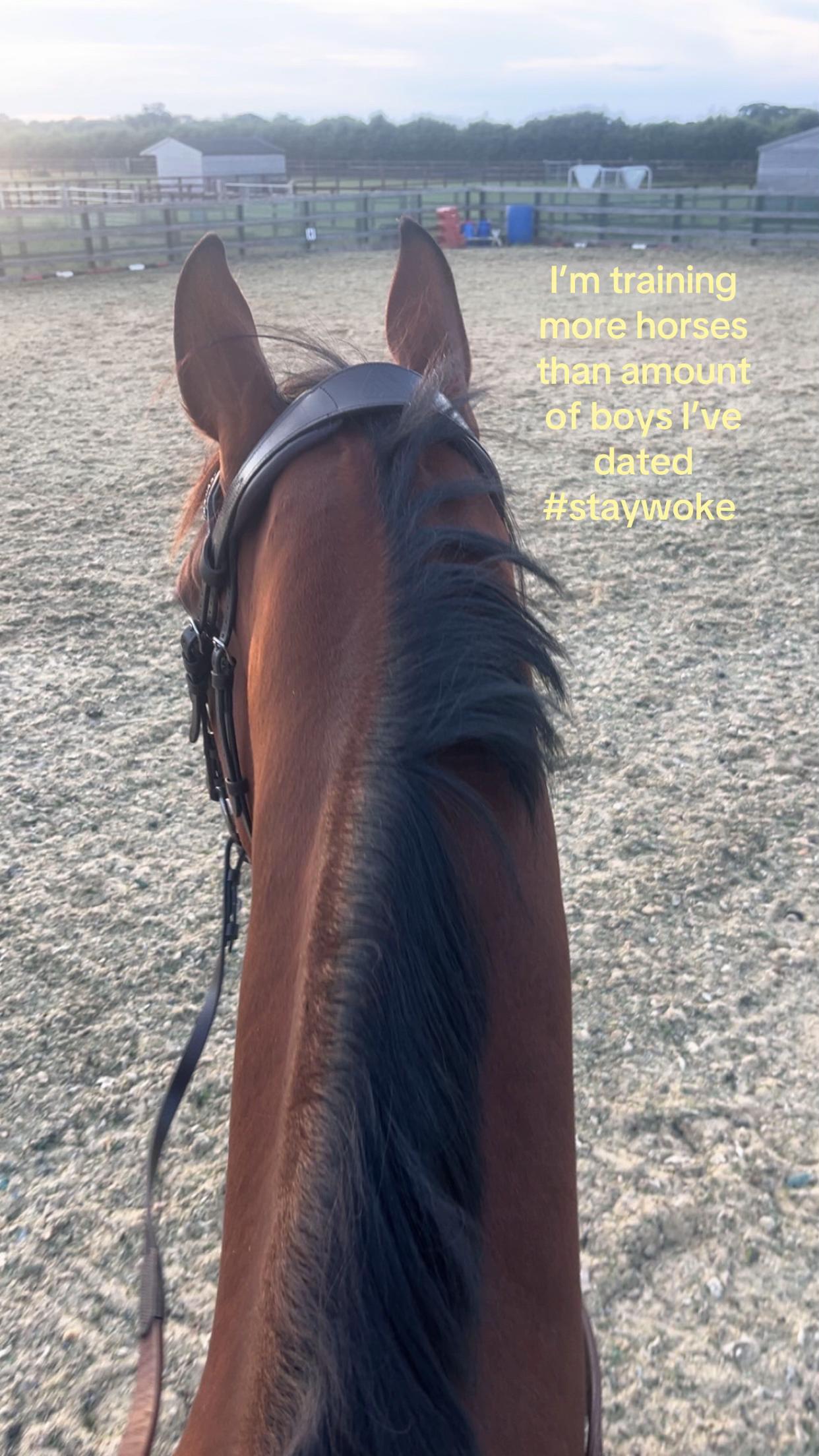 @🥂🐎🏴