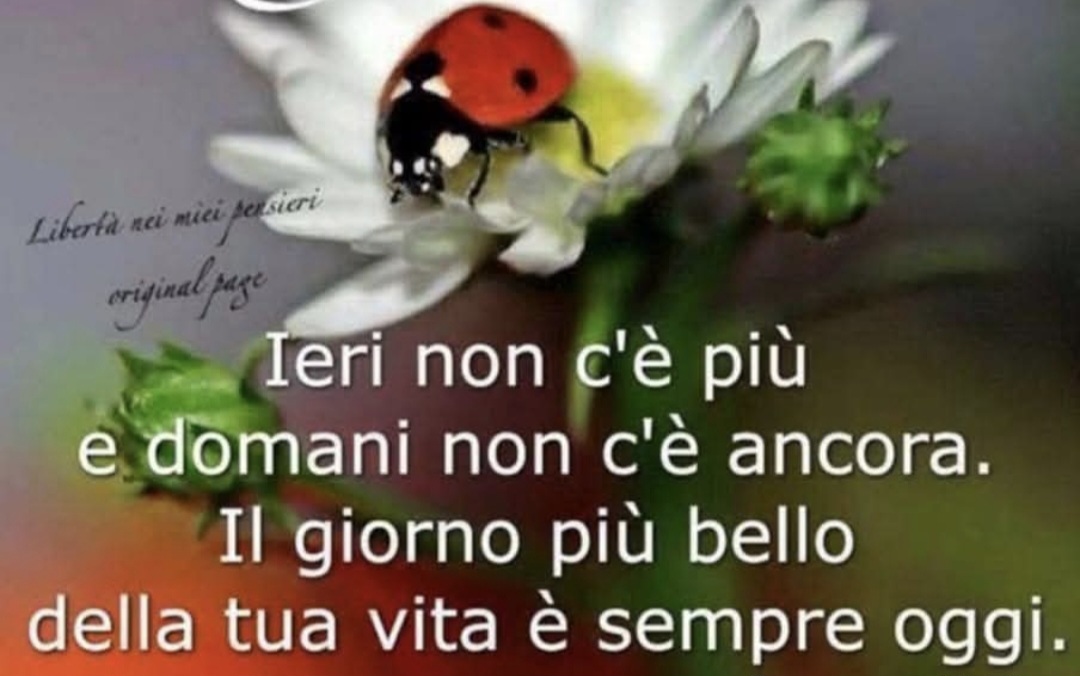 @Antonella Nuzzo