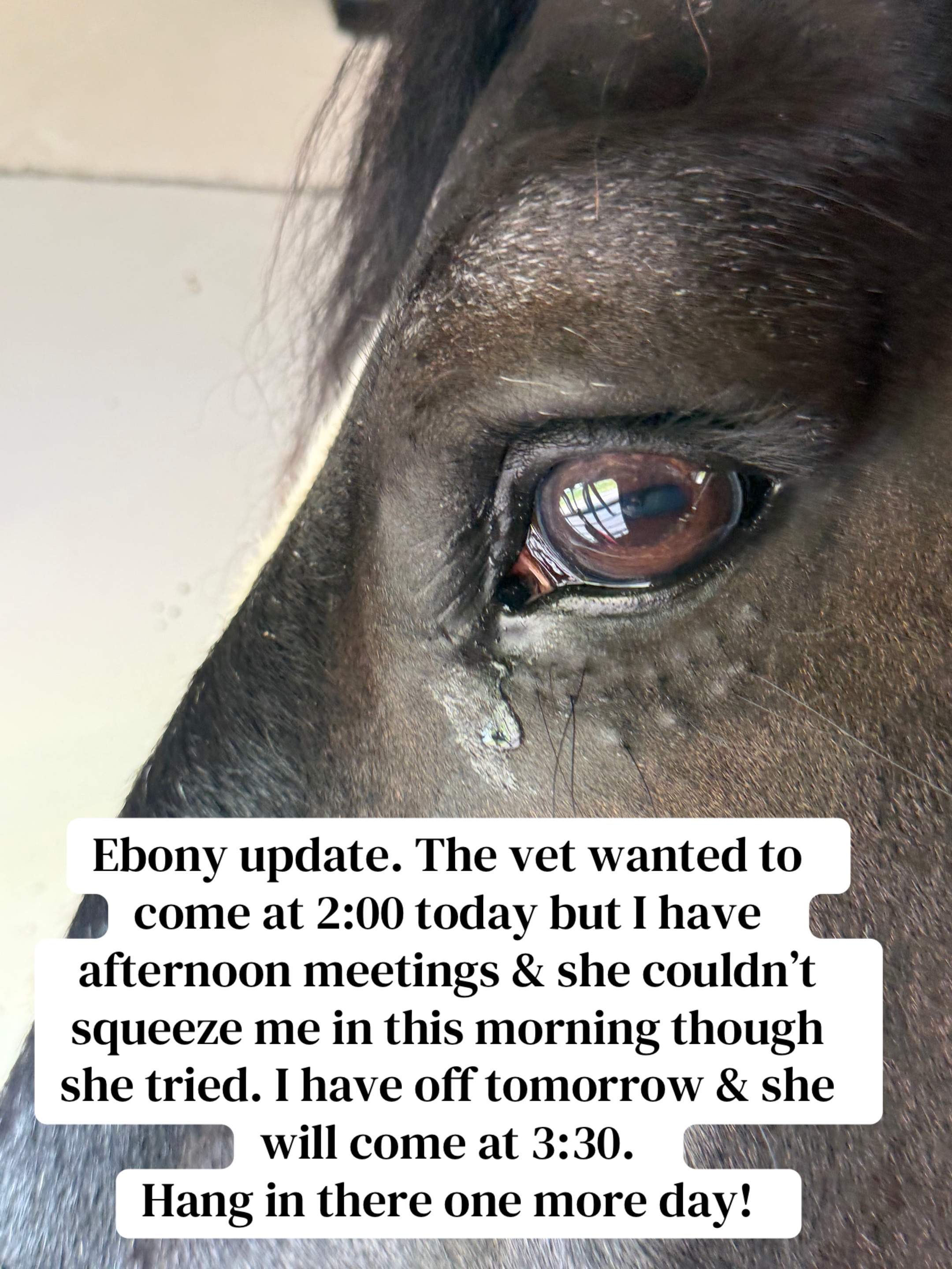 @Safe Place Pastures, Inc.