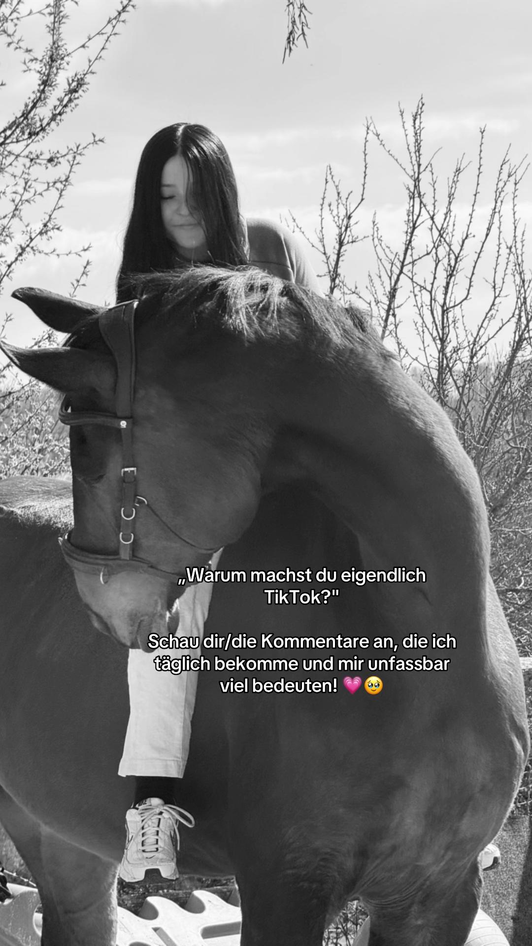 @annalisa.equestrian