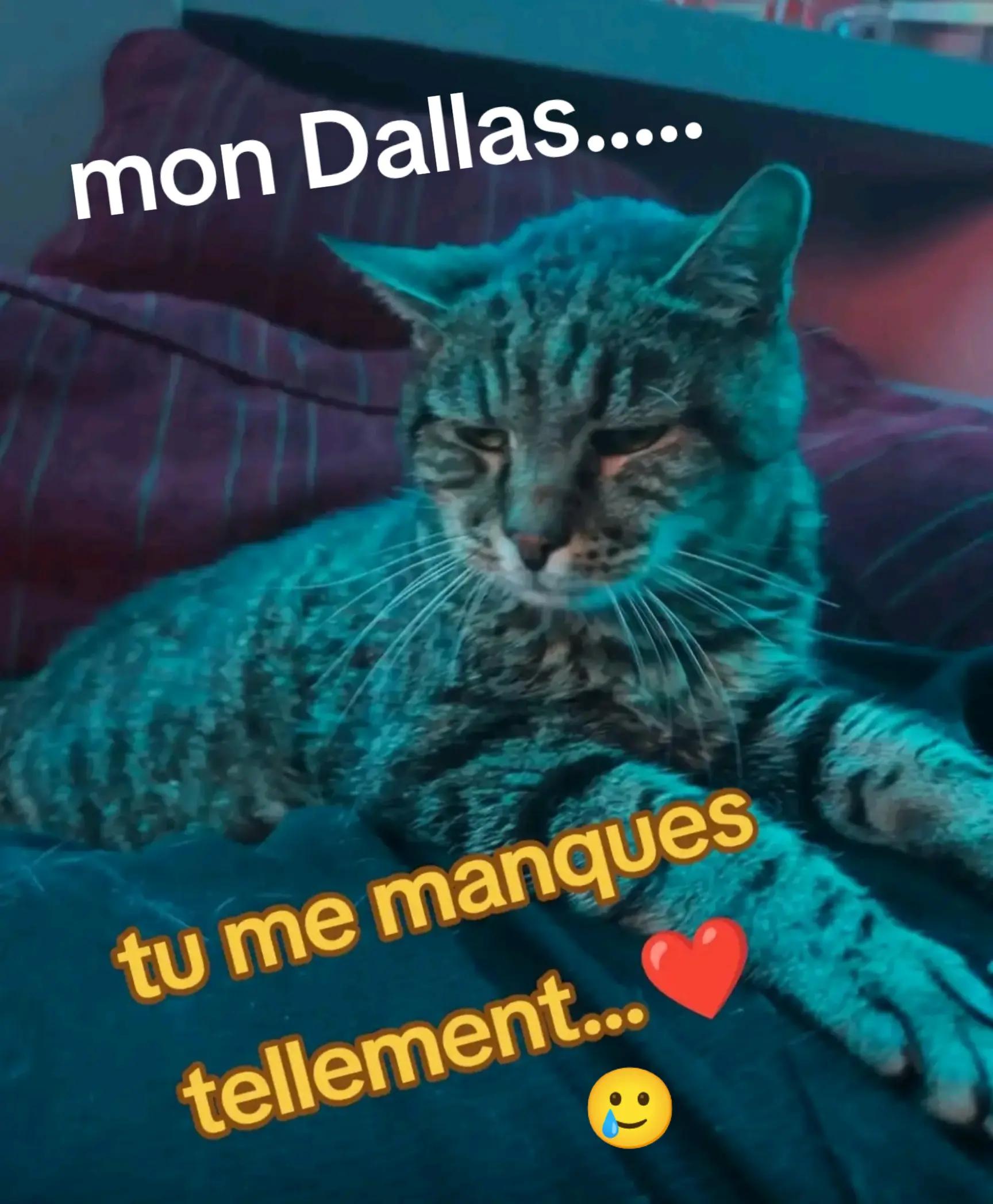 @soniap555