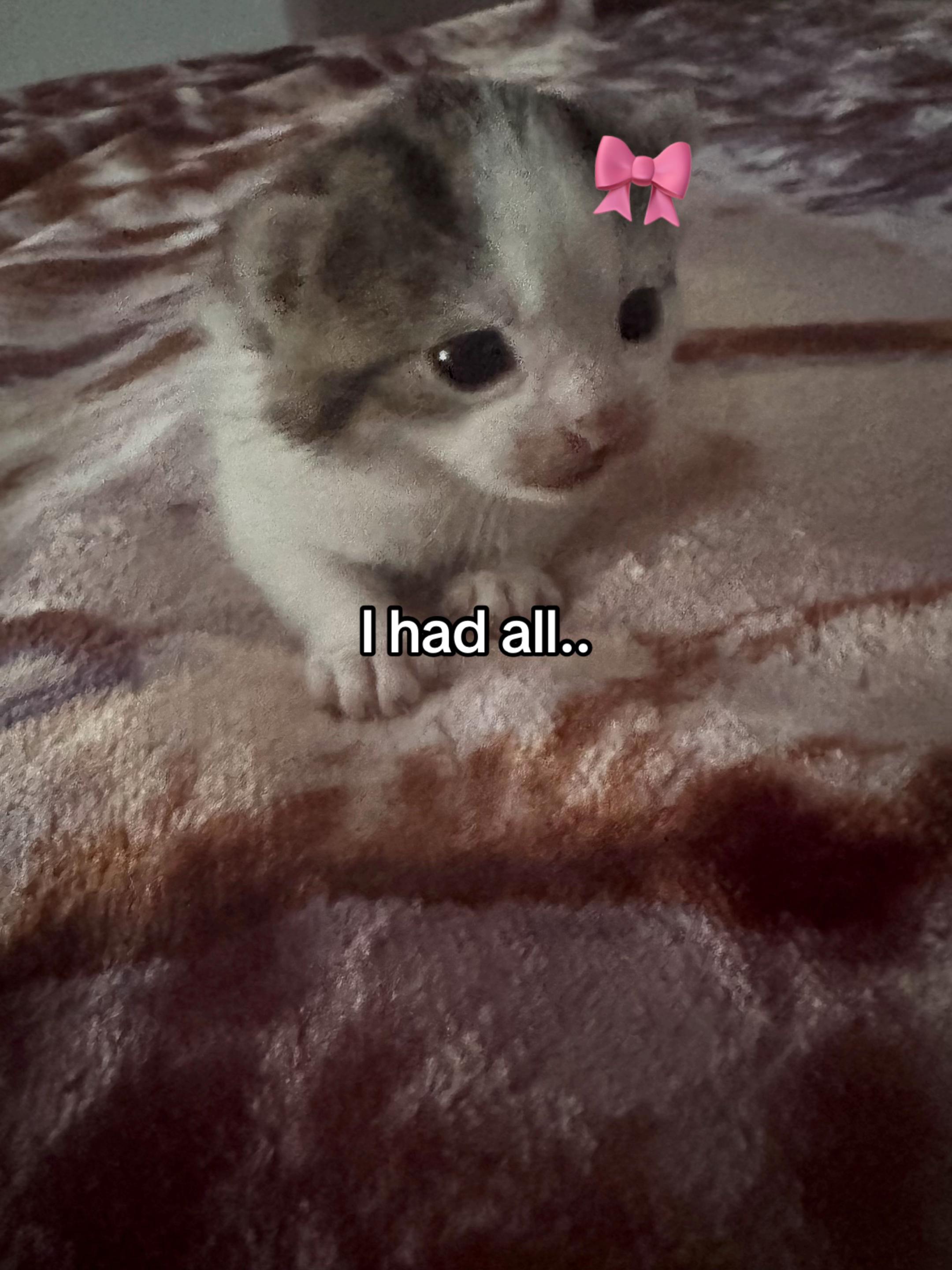 @TikTok.Maksiu