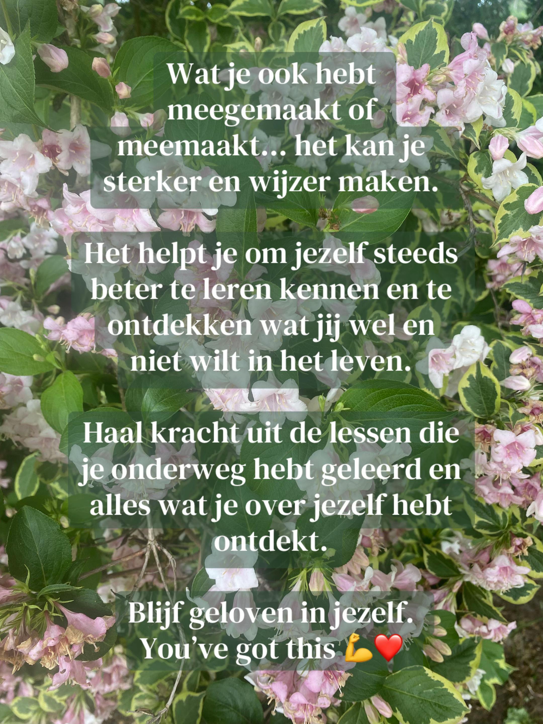 @Marloes.