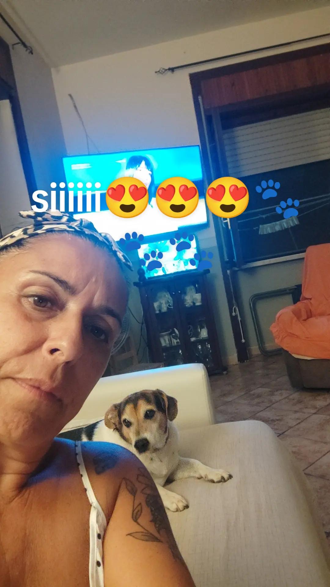 @la famiglia con i cani 🐾🥰