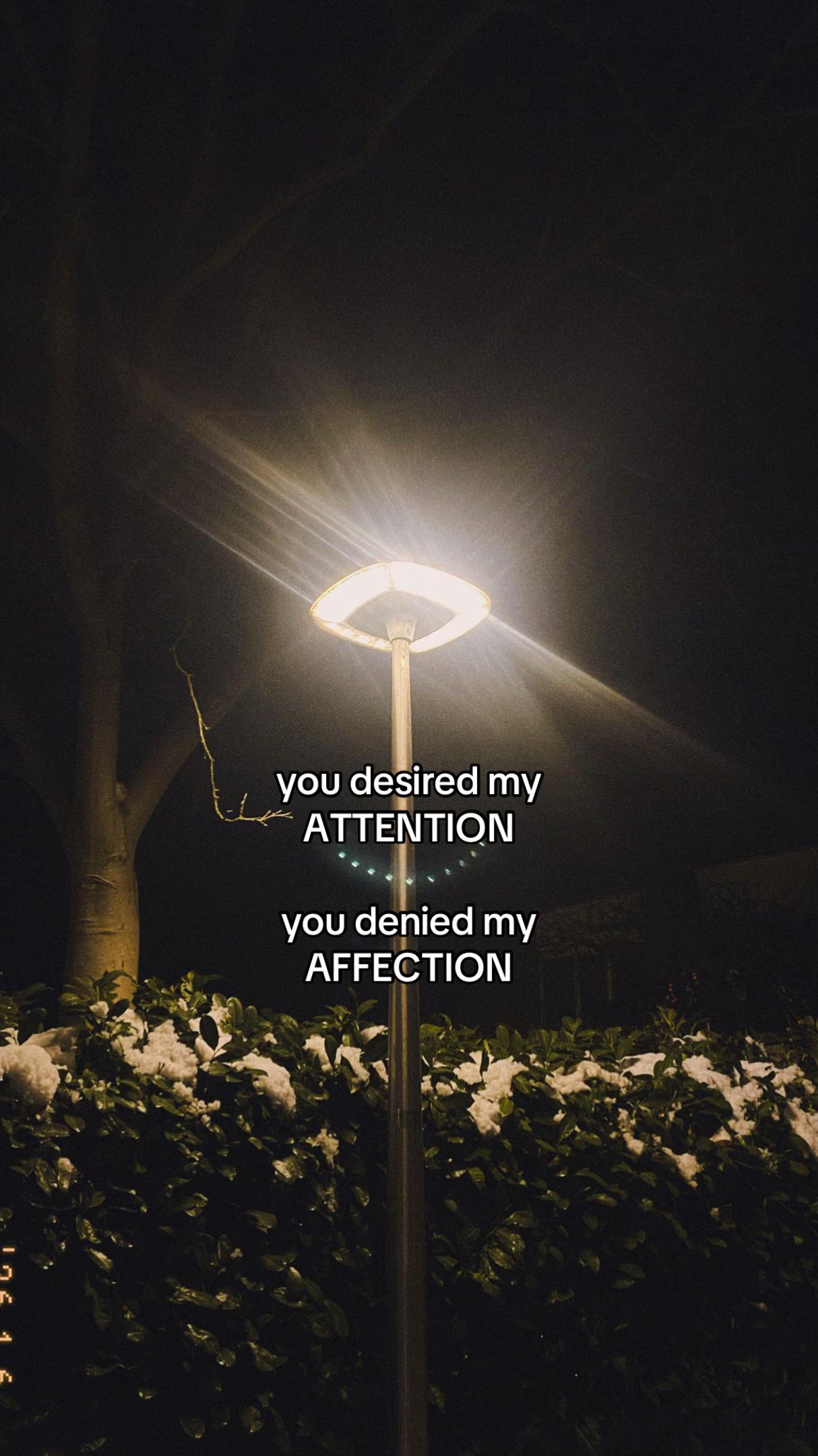@amy willemsen / author 📝