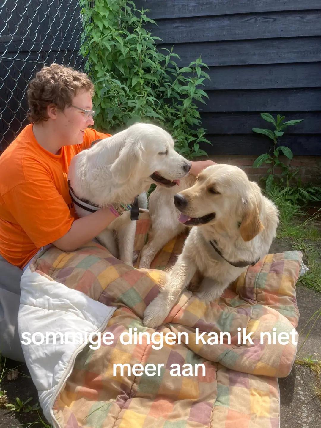 @lolxx