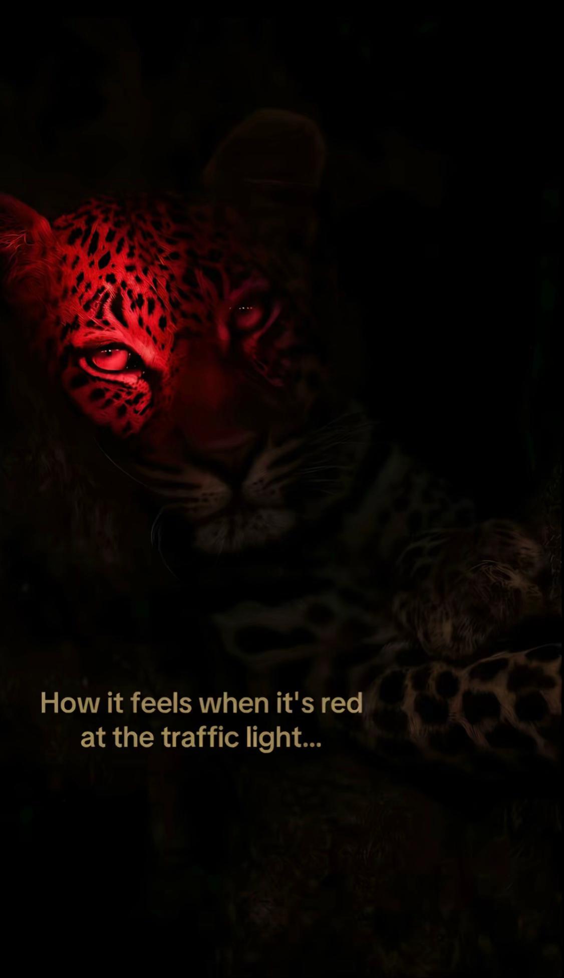 @𝓑𝓸𝓶𝓫𝓮𝓷𝓵𝓮𝓰𝓮𝓻𝓲𝓷💣