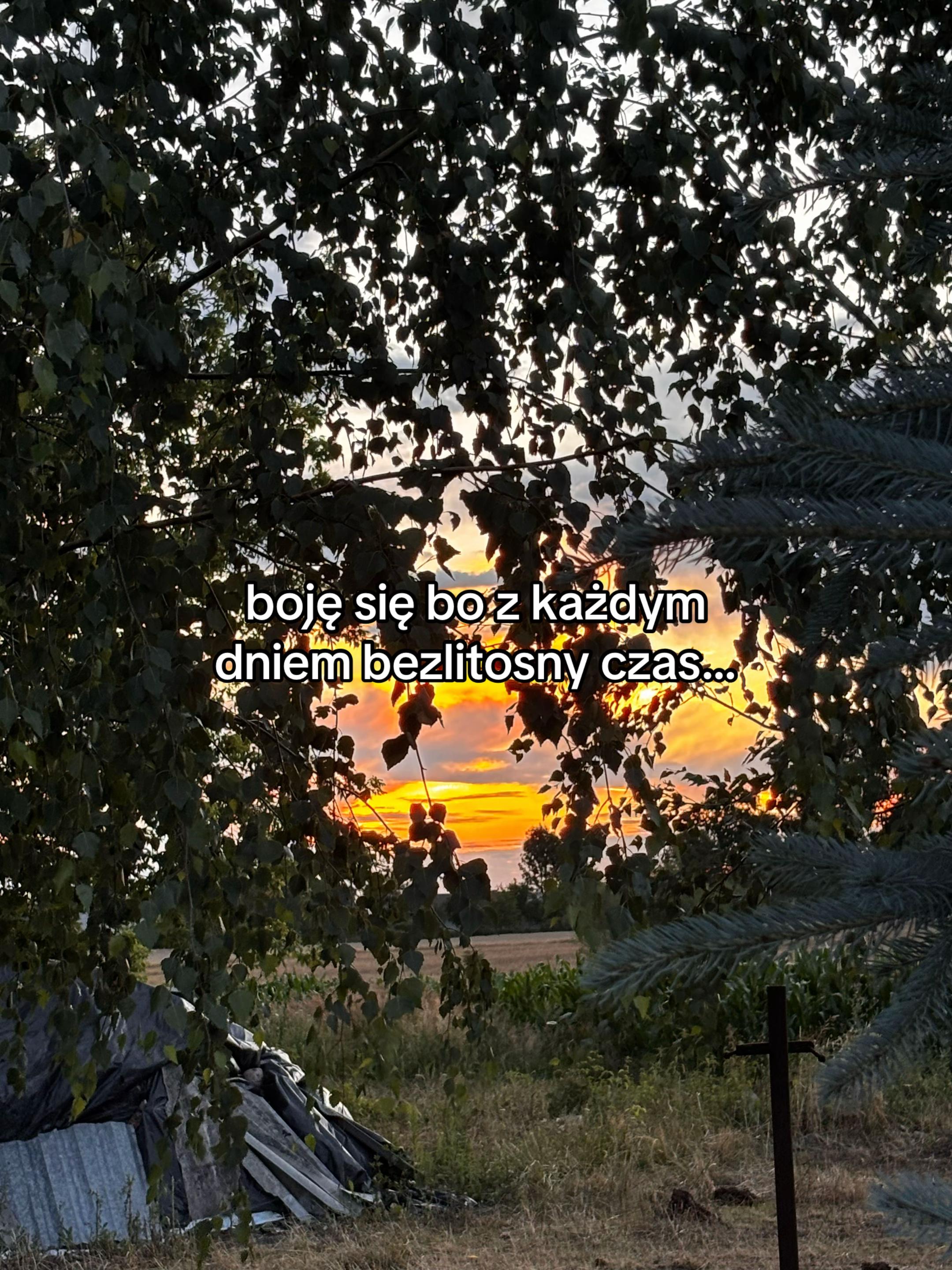 @🕊️
