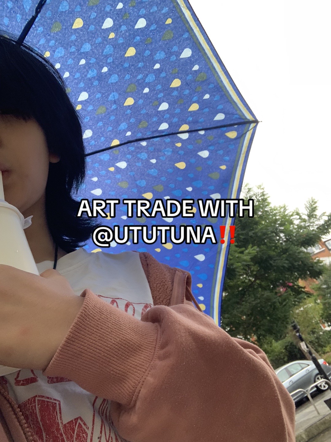 @tofu cat ⭑