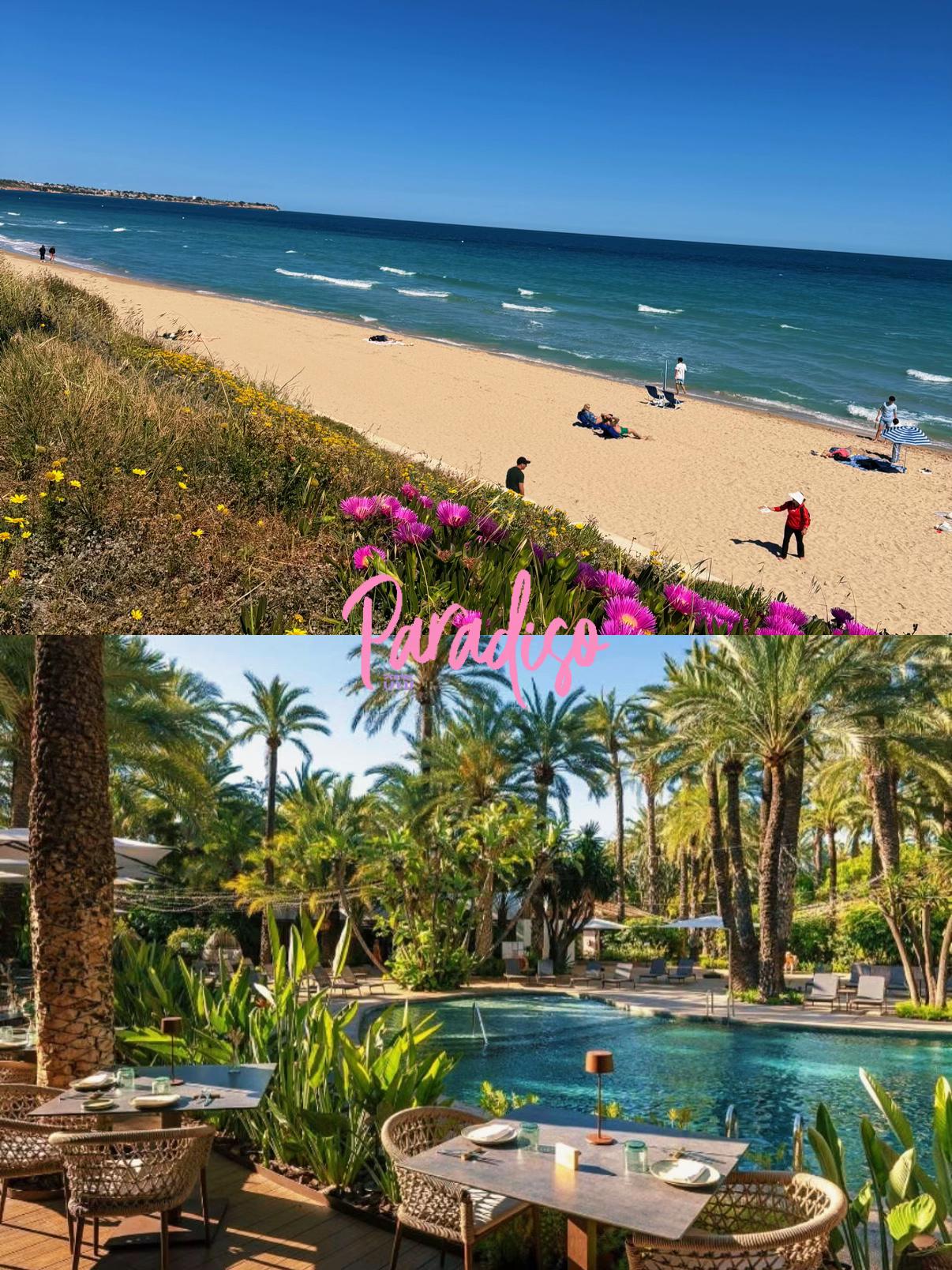 @🚗 Rent a Car | ✈️ Travel🇪🇸
