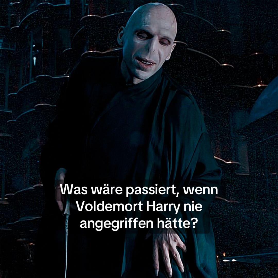 @Muggelgefl&uuml;ster
