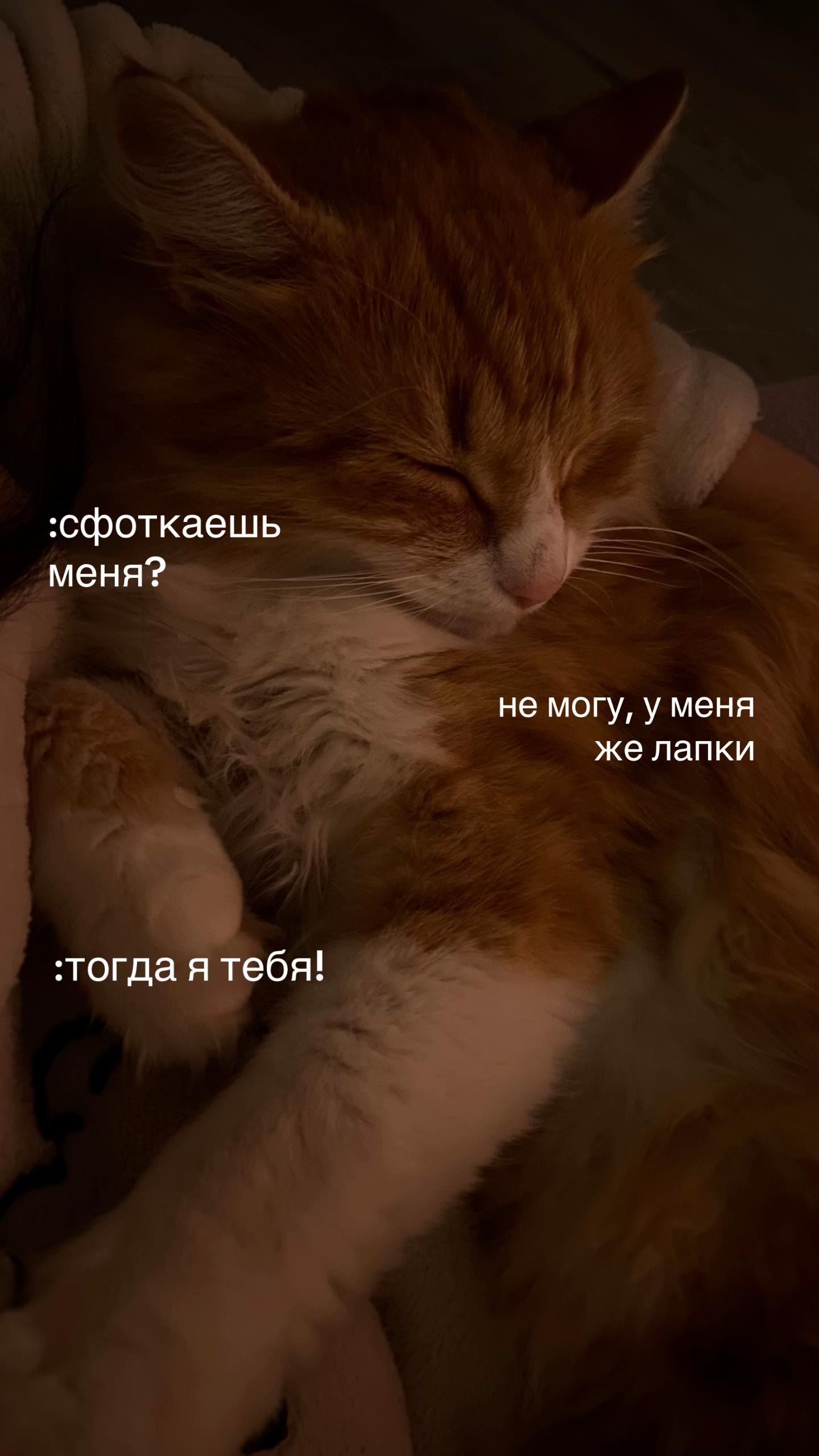 @🪷