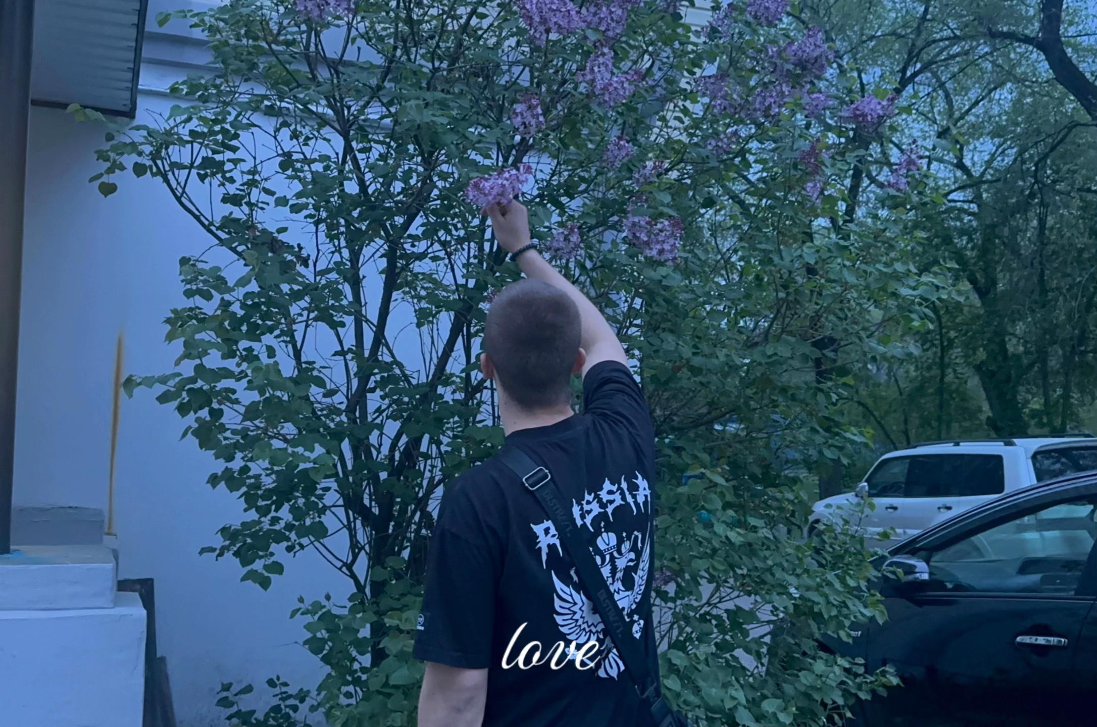 @𝓜˚。