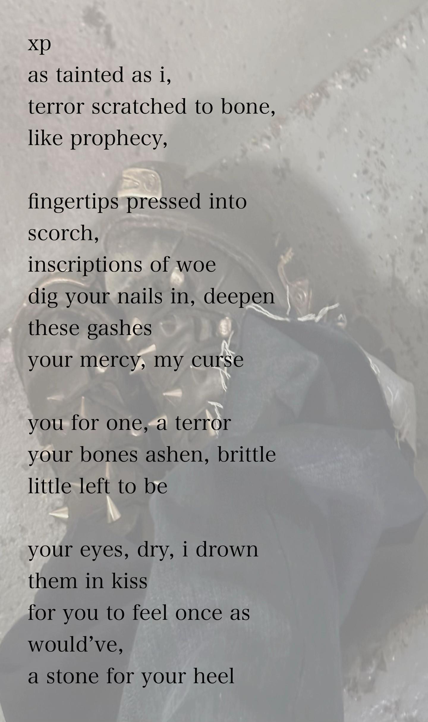 @milah | ptv version