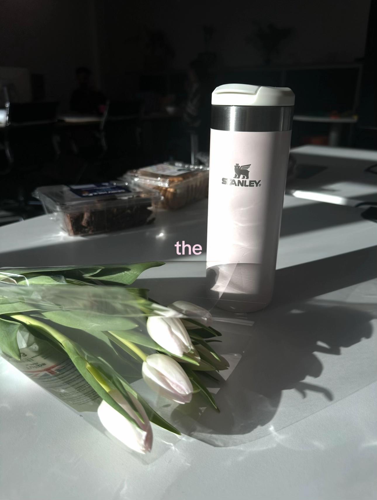@Marketing & TikTok Agency 🚀