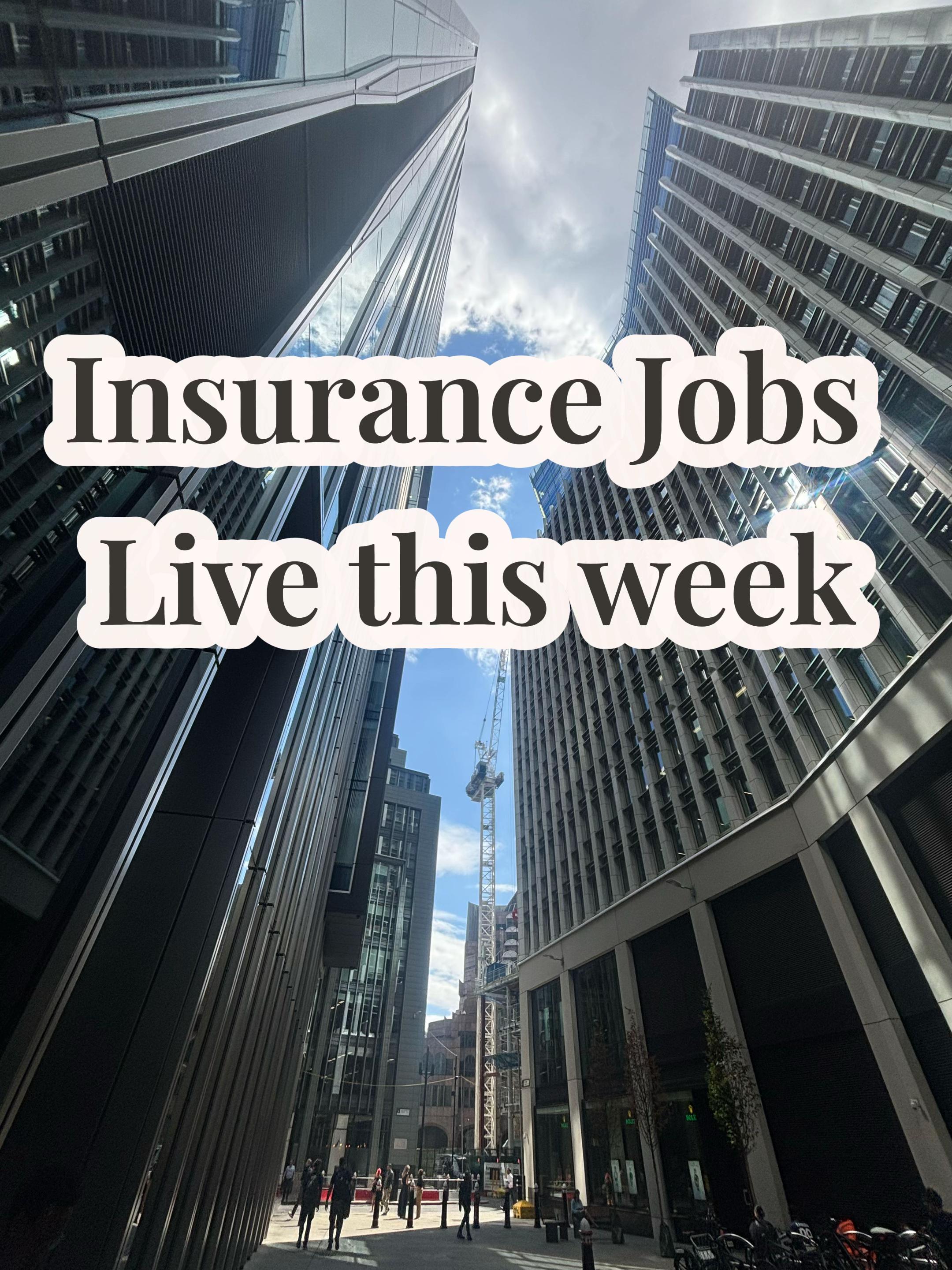 @Insurance TikTok