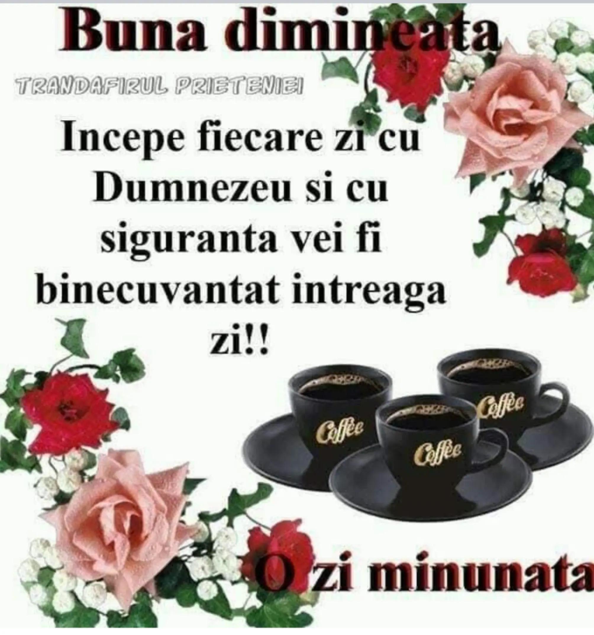 @maria