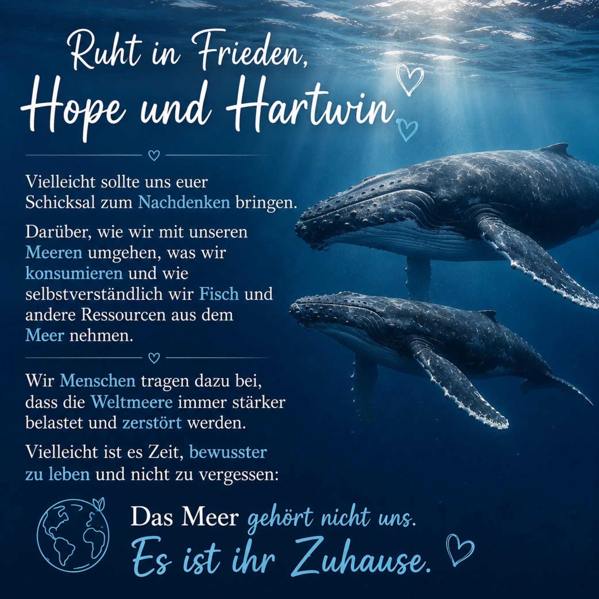@🐳📚❤️DreamySusu❤️📚🐳