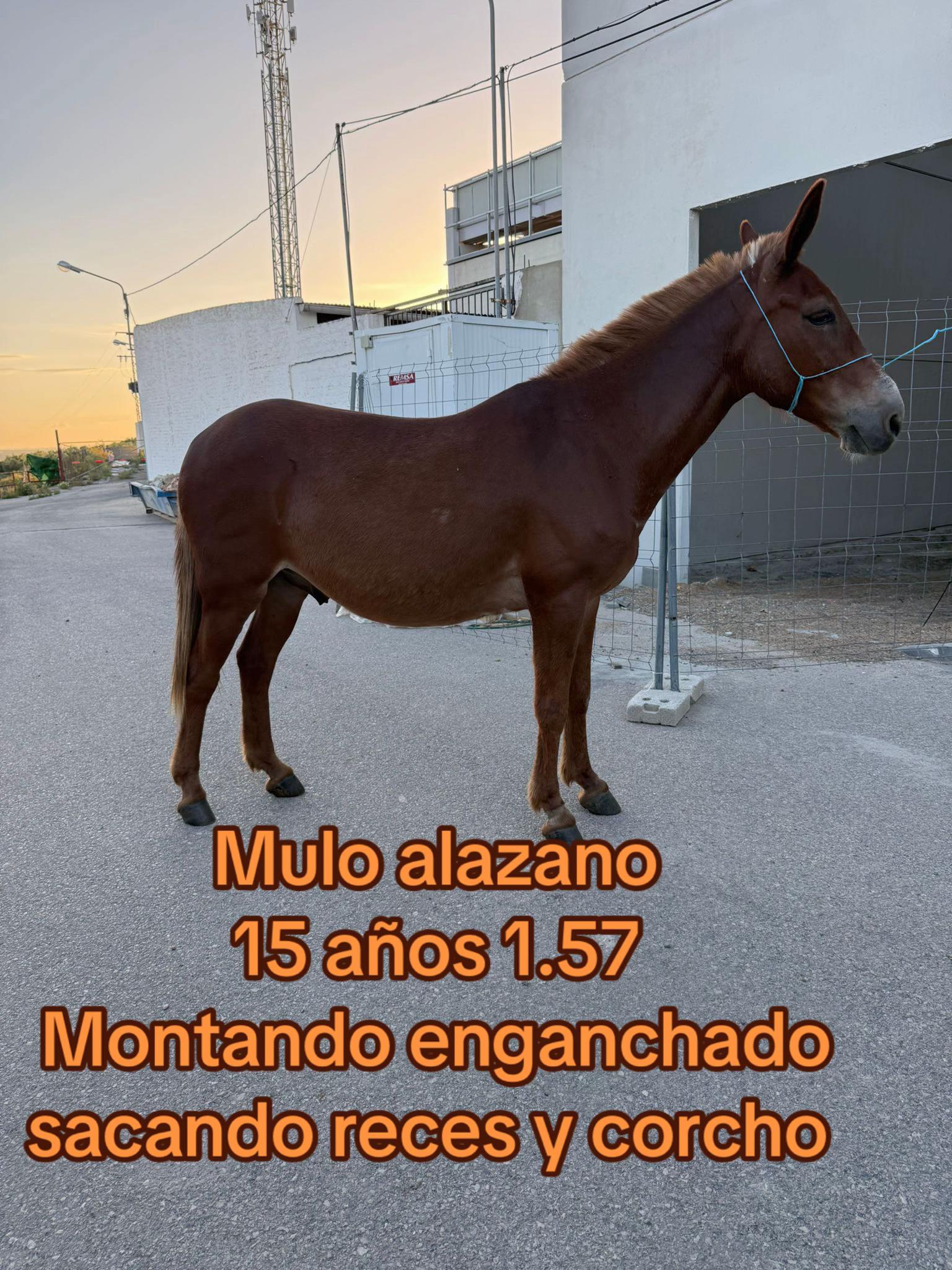 @María del pilar