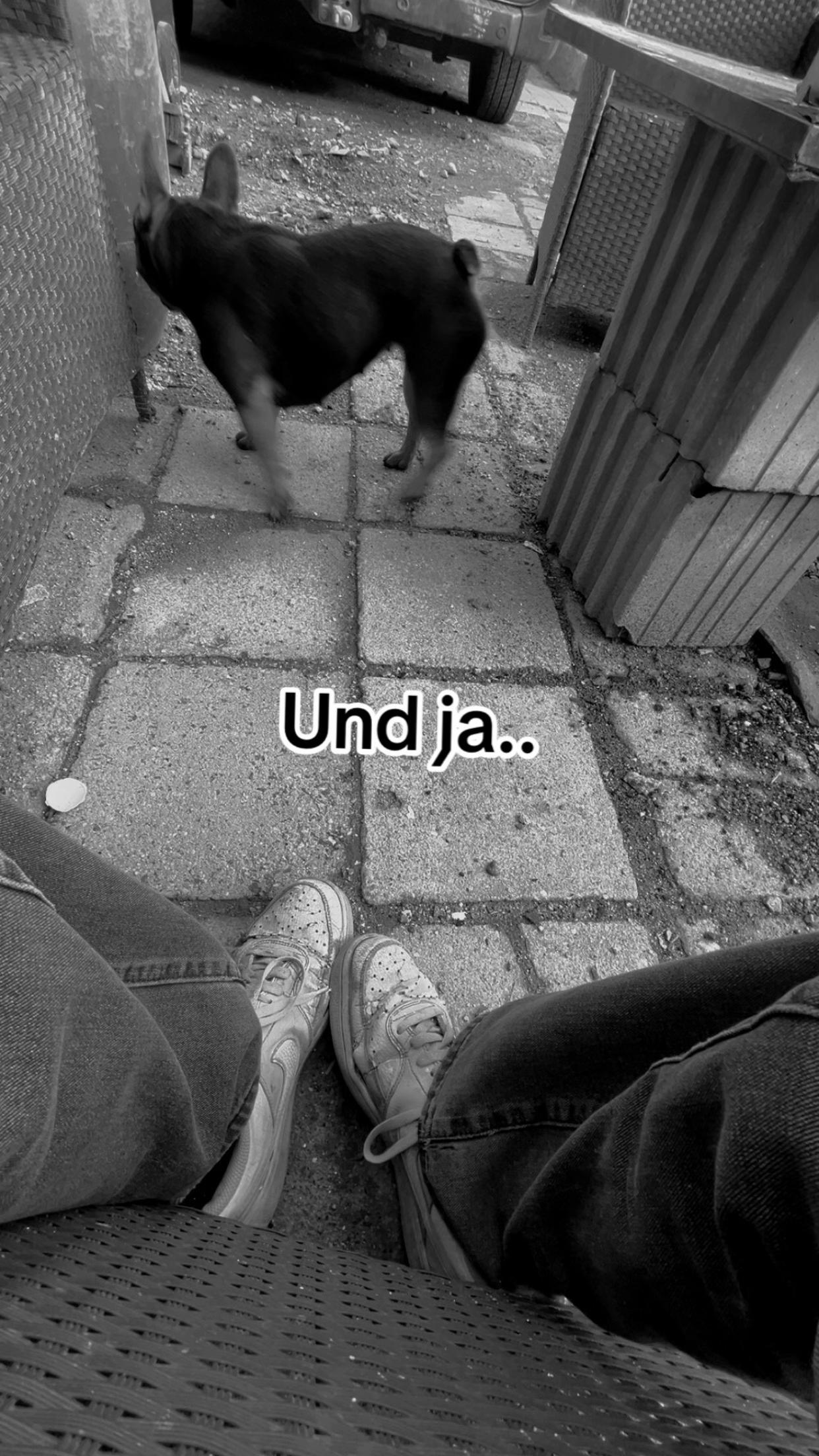 @Cheyenne.._..halt17