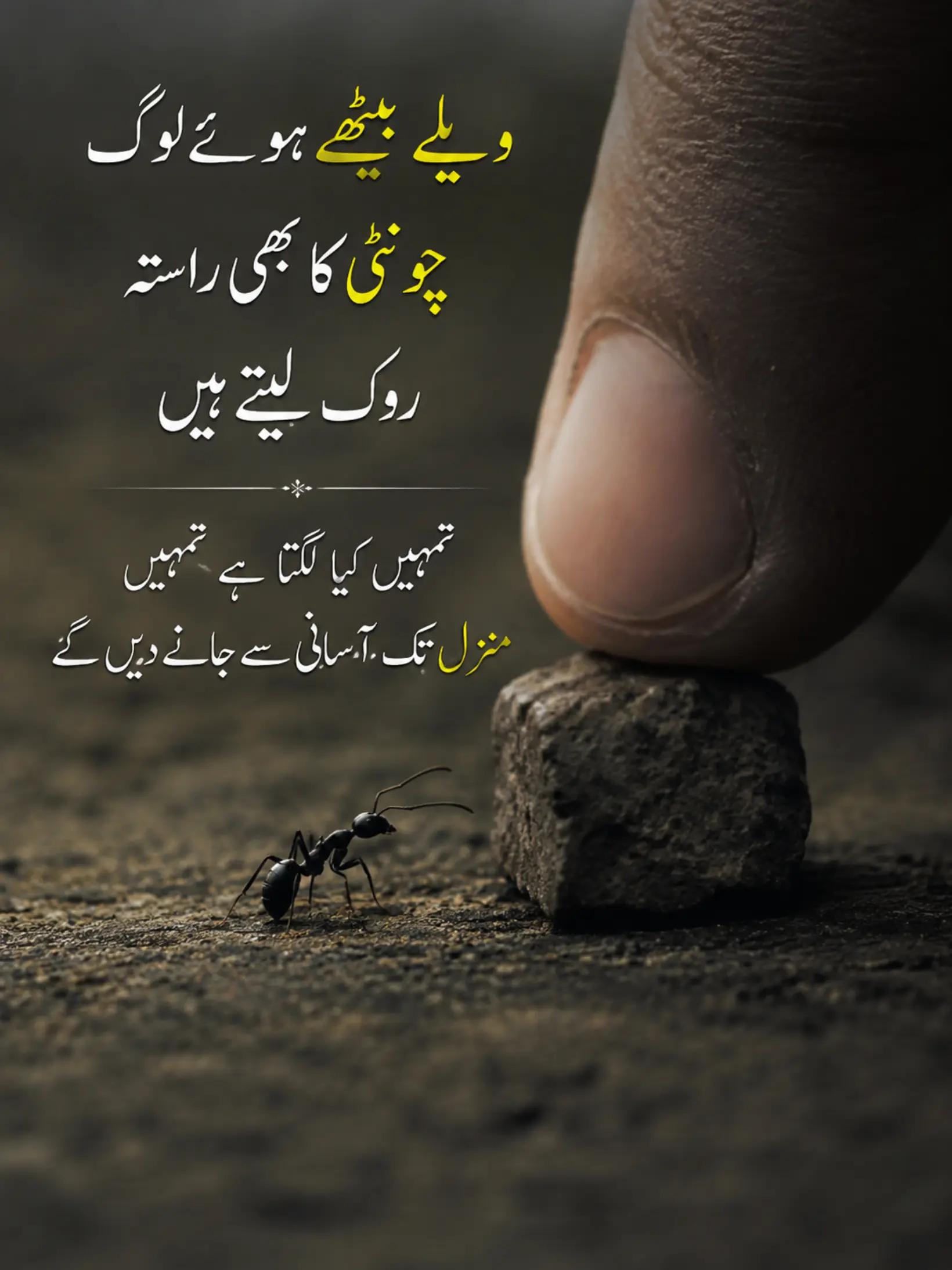 @AsghaR🪶